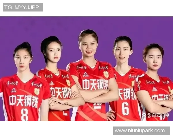 南京排球队实力强劲荣登全国排球力量排行榜第八名