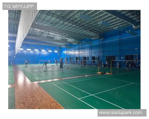 广州羽毛球队在钻石联赛中的战术表现分析与启示 广州羽毛球队在钻石联赛中的战术表现分析与启示