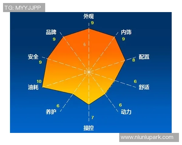 武汉排球队的转型之路:从传统到创新的全面革新探讨 武汉排球队的转型之路:从传统到创新的全面革新探讨