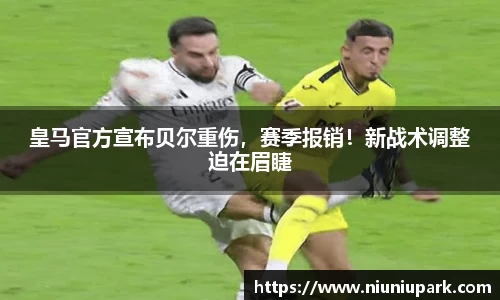 星空体育官网登录入口