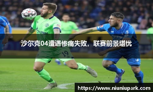 星空体育官网入口