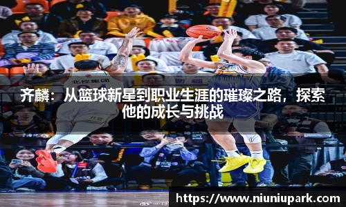 星空体育官网登录入口