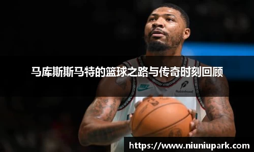 星空体育官网