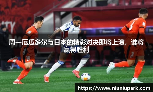XK体育